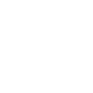 Muti-Payment & Language Support 
