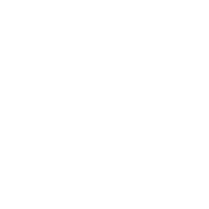 Profit & Loss Insights 
