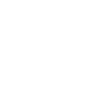 Tally Data Migration 
