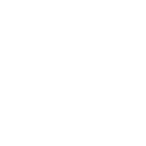 All Transaction Report 