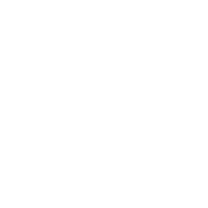 Asset Management 