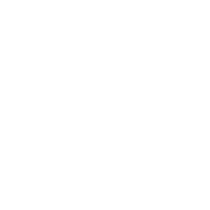 Bulk Import & Integration 