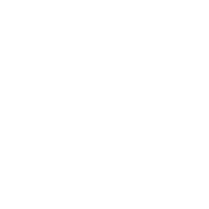 Bulk Product Uploads 