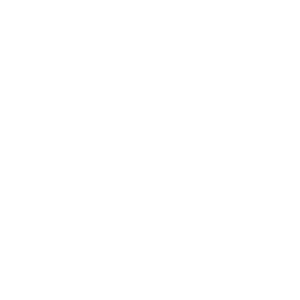 Custom Field Flexibility 