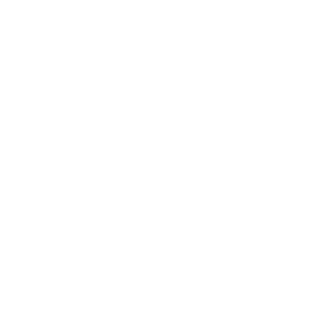 Customer Support 