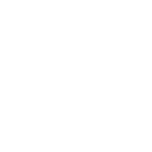 Customizable Invoice Generation 