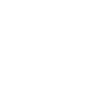Data Security