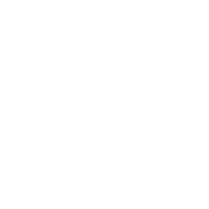 Data Security