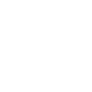 Detailed Sales Reports 