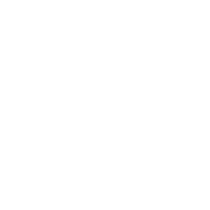 Expense Management 