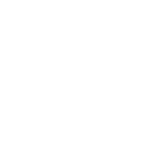 Item & Stock Report 
