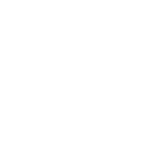 Low Stock Alerts 
