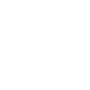 Low Stock Alerts 