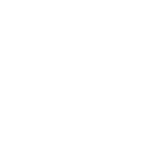 Mobile Support 