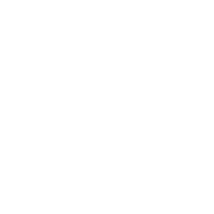 Multi-Currency Support 