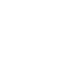 Multi-Language Support 