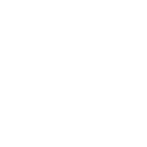 Multi-mode of Payment 