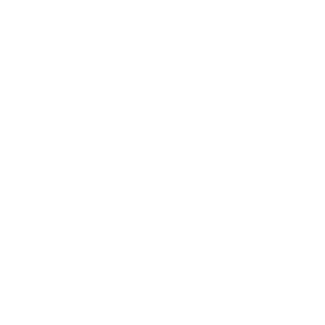Multiple Payment Methods 