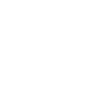 Professional Financial Reporting 