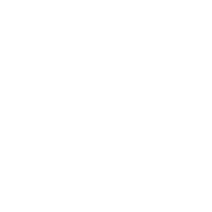 Profit/Loss Insights 