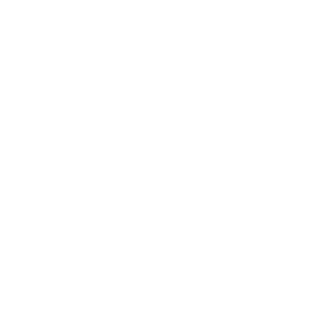 Sales Report 