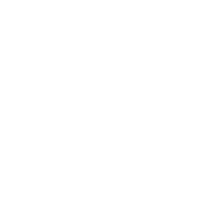 Stock & Transfer Reports 