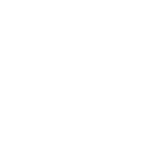 Stock Transfer Reports 