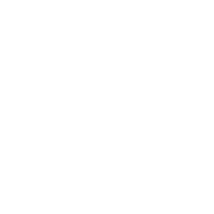 Supplier Integration 