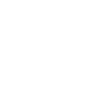 Transaction Report 