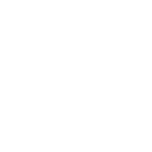 User-Friendly Interface 